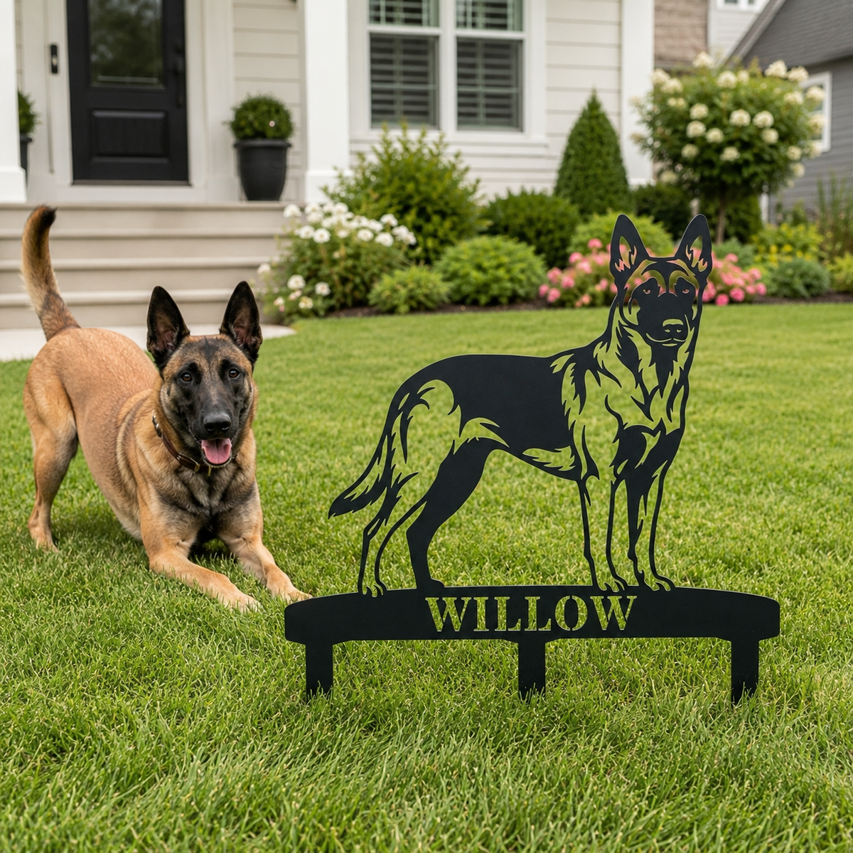 Personlig Belgisk Hyrdehund metalskilt til haven med hundenavn