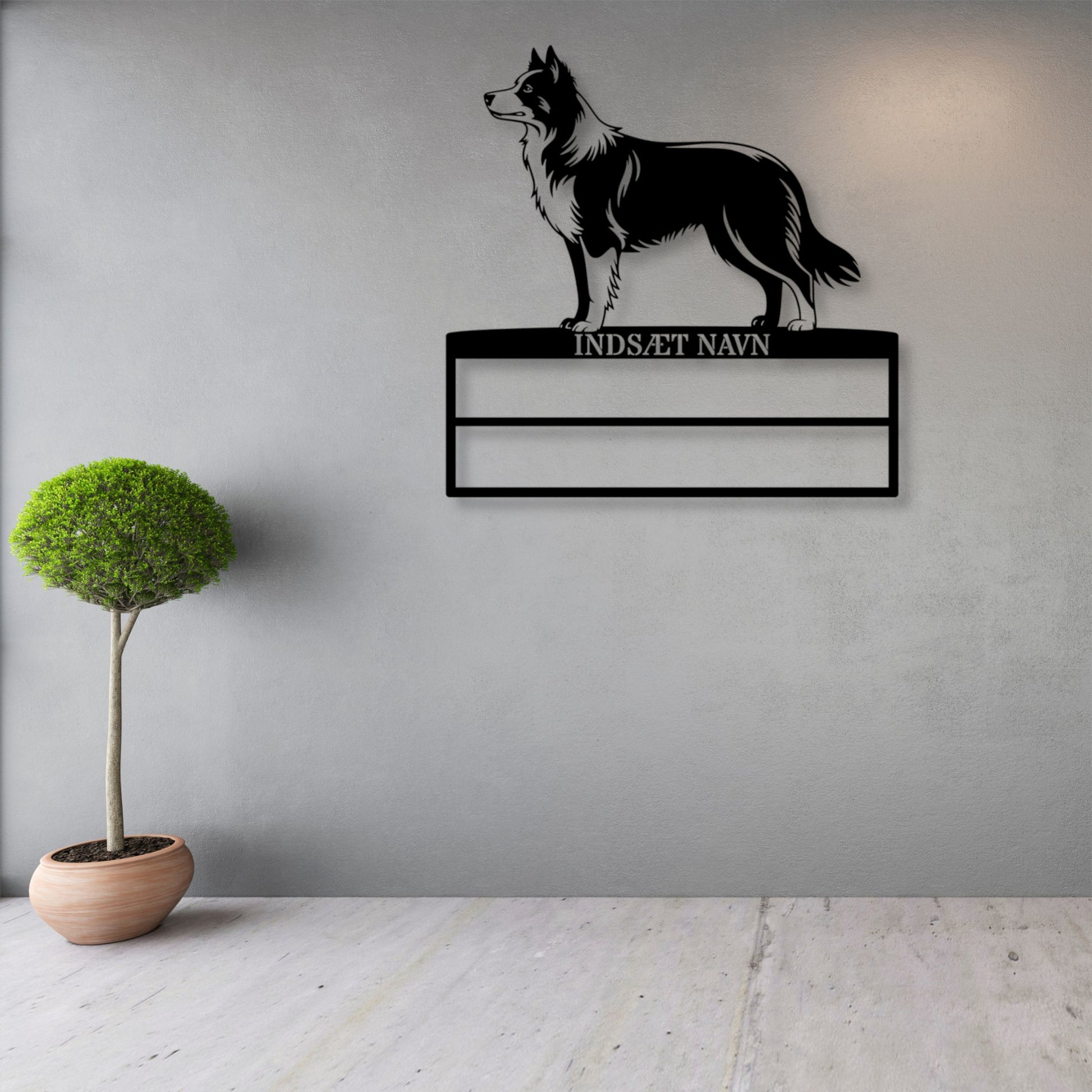 Speciallavet Border Collie væg metalskilt med personlig tekst til rosetter. Unik Gaveide til hundeejer.